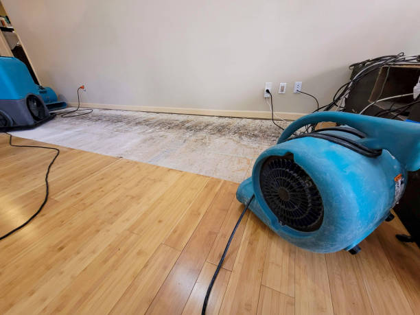 Professional Ceiling Water Damage Repair technician working in Brooklyn, NY